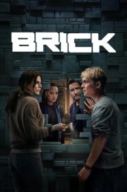 Brick (2025) Hindi Dubbed Netflix